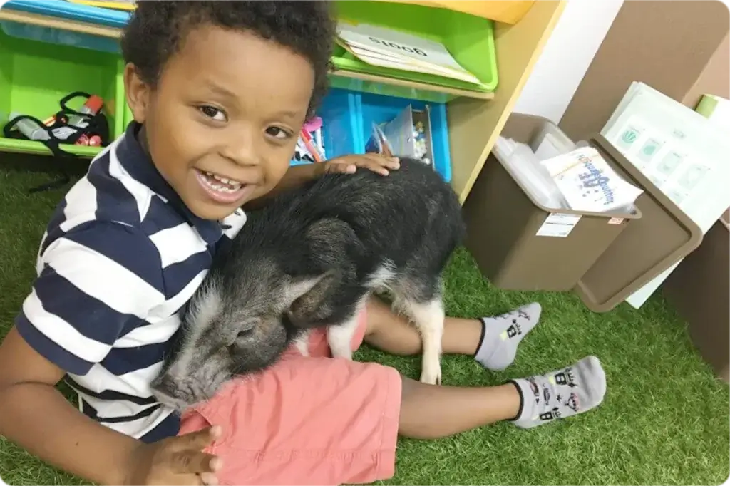 動物と遊ぶ男の子